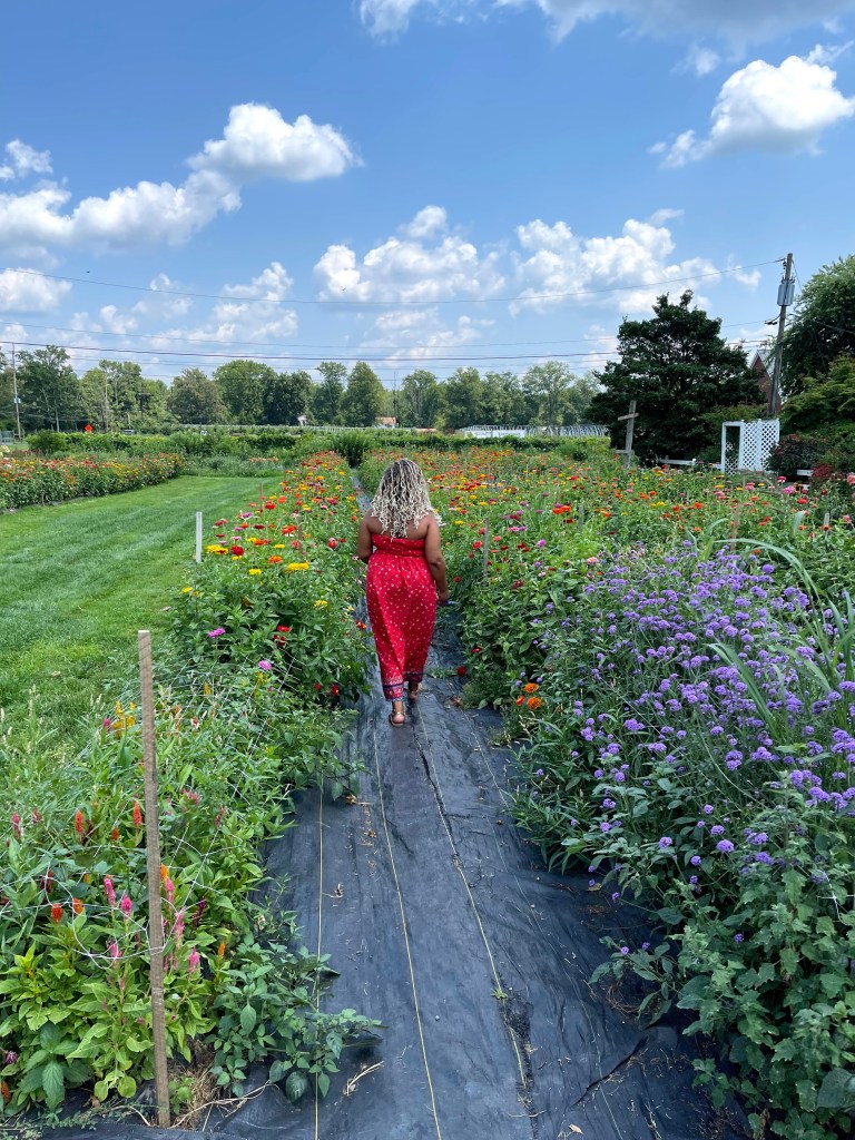 A woman in a red dress walks through a vibrant flower garden on a sunny day, surrounded by colorful blooms and a blue sky.