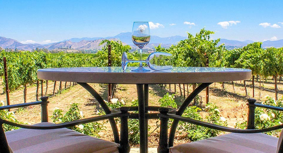 A beautifully set table with a glass of wine overlooking lush vineyard fields and blue sky.